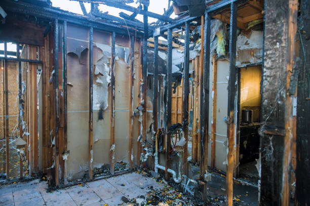 Professional Fire Damage Removal technician working in Palmyra, NJ