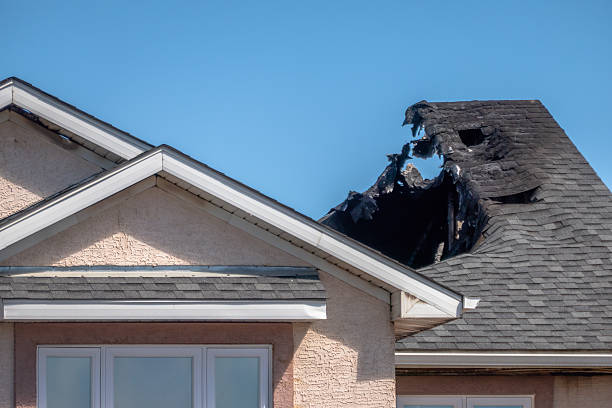 Top rated local Fire Damage Removal specialists in Palmyra, NJ